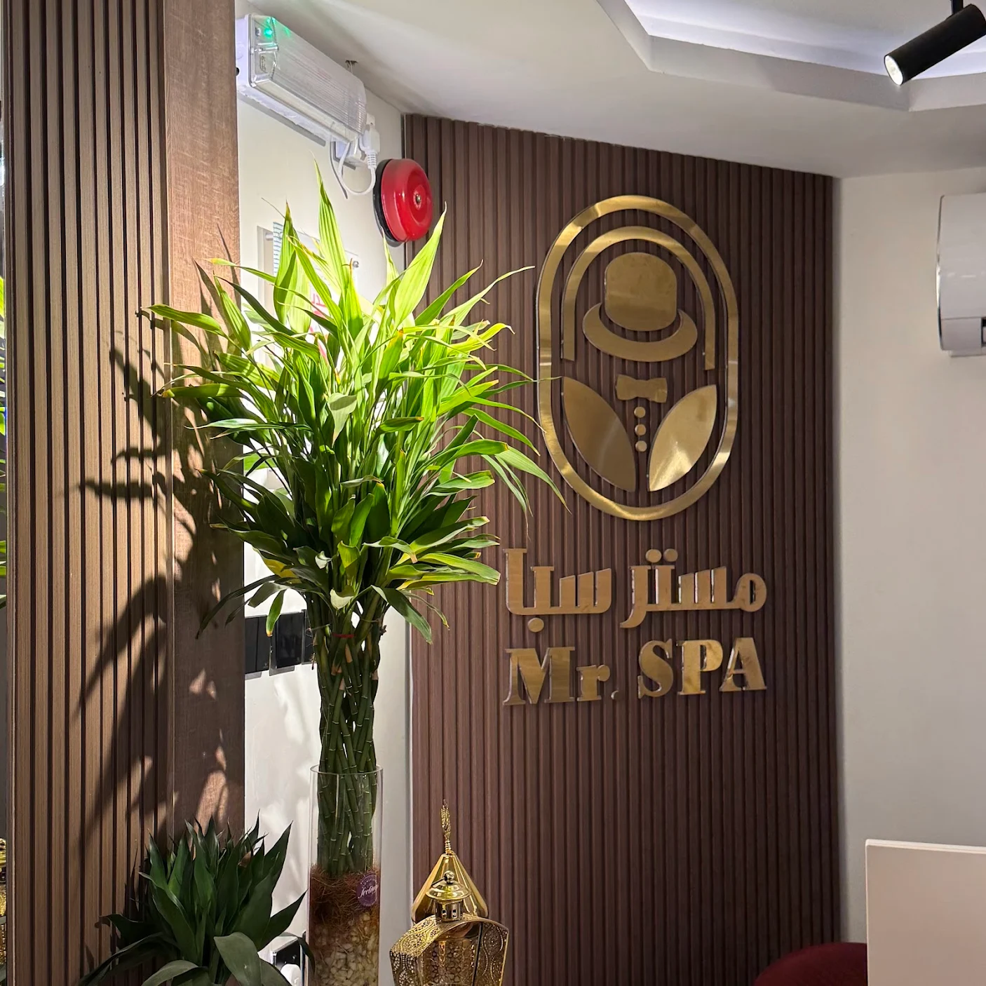 شعار مستر سبا الذهبي على جدار الاستقبال الخشبي